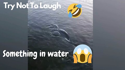 TRY NOT TO LAUGH | FUNNY VIDEOS 2023 | HILARIOUS THINGS HAPPEN | FAILS OF 2023 | LAUGHING MOMENTS |