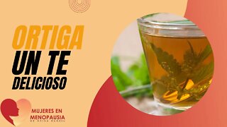 Té de Ortiga | Mujeres en Menopausia