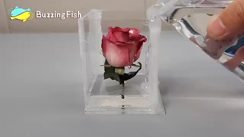 🌹 Make an Awesome Night Lamp with Red Rose 🌹- Resin Art