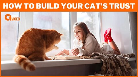 Mastering the Art of Feline Friendship: How to Build Your Cat's Trust in 5 Easy Steps! 🐱💕