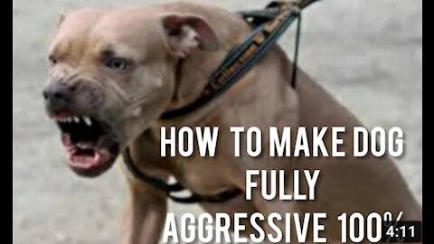 How to Defend against Dog Attack - Self Defend with a few step