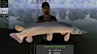 Fishing Planet Folge 578 Quanchkin Lake Wels und Alligatorhecht