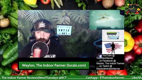 Waylon, The Indoor Farmer EP#61: Time To Make Some Decisions At The Live Market