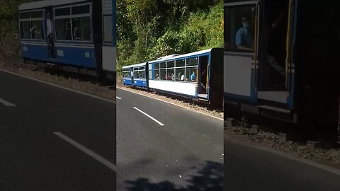 Darjeeling toy Train # trending #videyo#