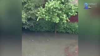 Vehicles submerged in water in Downtown Baltimore