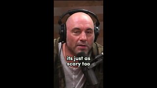 Joe Rogan and Joey Diaz Discuss Gambling!!!