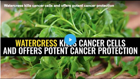 How watercress can protect you against cancer