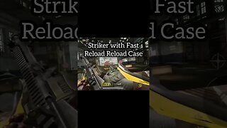 Striker Reload Speed is Fast as F
