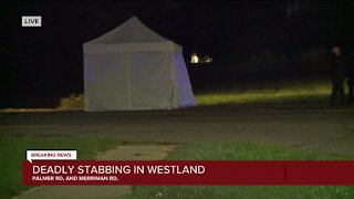 Deadly stabbing in Westland