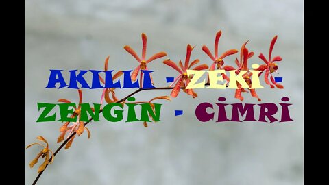 #menkıbe EN GÜZEL MENKIBELERDEN BİR BÖLÜM / "AKILLI - ZEKİ - ZENGİN - CİMRİ."