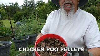 CHICKEN POO PELLETS