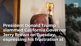 Trump Slams California Governor For Not Using Troops To Protect Border