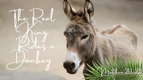 Matthew 21:1-22 (Full Service), "The Real KING Rides a Donkey"