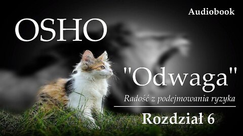 OSHO "Odwaga" | Rozdział 6 | Koniec