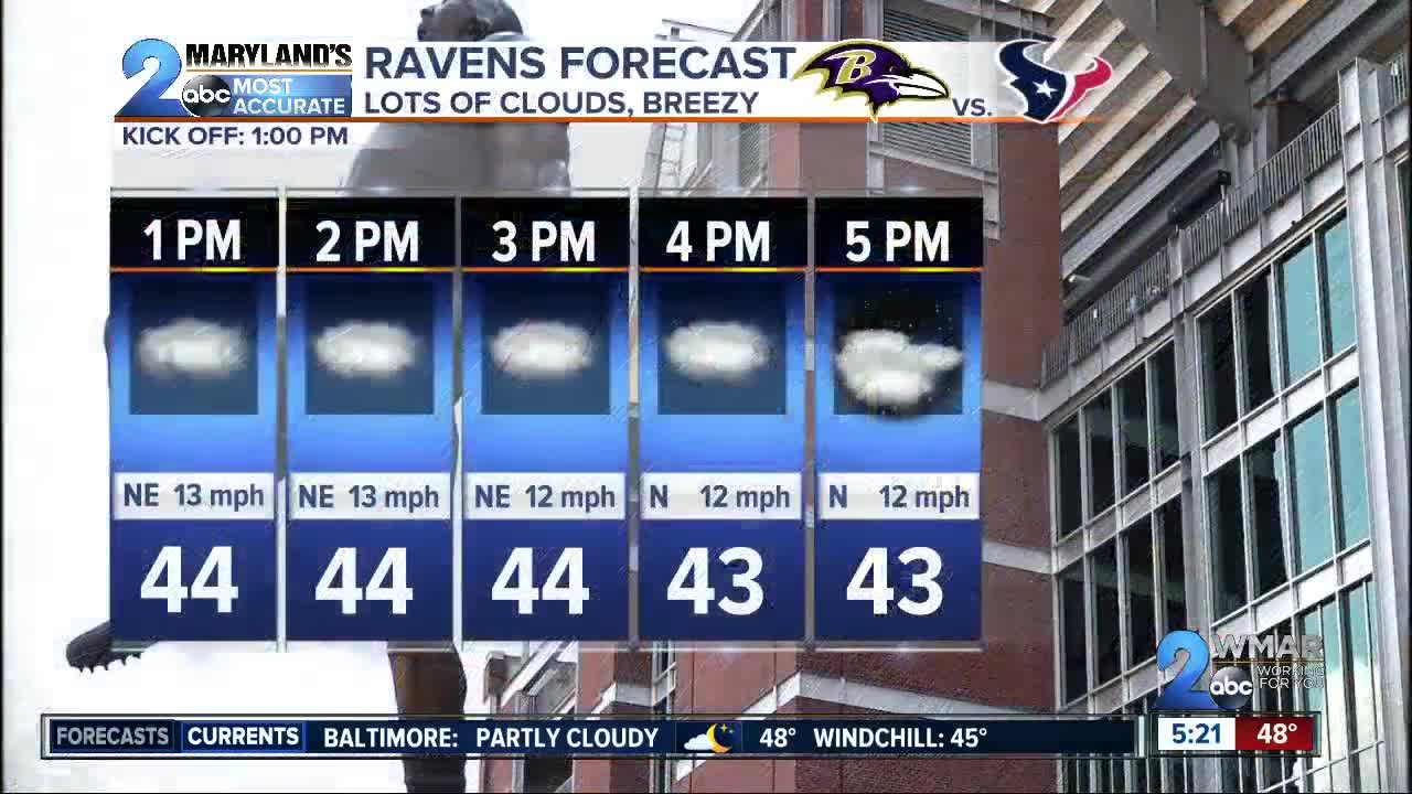 Chilly For The Ravens Sunday