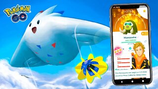 Quais Pokémon FOCAR no ESTRELAS EM EVOLUÇÃO no POKÉMON GO! Cosmoem, Xernas e mais!