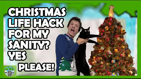 Stop Your Cat from Destroying Your Christmas Tree with These Clever Hacks