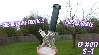 Sub Buys Me Exotic (Purple Urkle) (S1 E17)