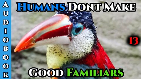 Humans Don't make Good Familiars (Ongoing) - Ch.13 | HFY | Fantasy