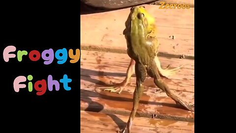 Froggy Fight