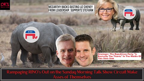 Rampaging RINO's Out on the Sunday Morning Talk Show Circuit Make Asses of Themselves