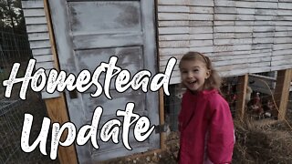 Morning Chores on The Farm / Homestead Update/ MORE Painting!!!!