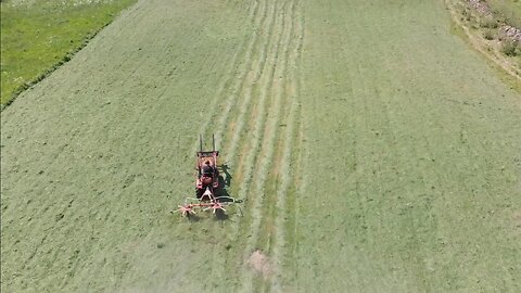 Permaculture Field Yields Hay Harvest 3 Weeks Into Growing Season