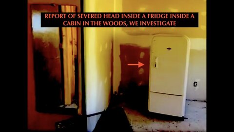 Head in the Fridge, Cabin in the Woods, On Scene Mysterious Valley