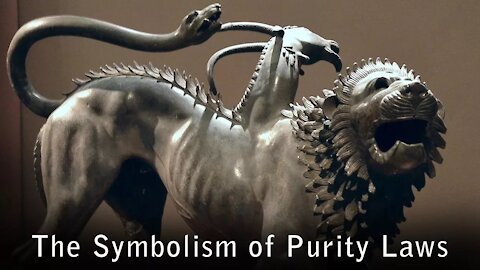 Mixing Linen and Wool -- The Deep Symbolic Meaning of Purity Laws in The Bible