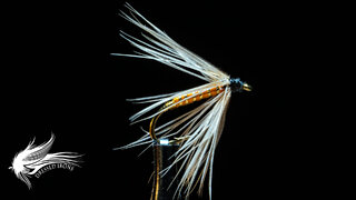 Tying The Orange Fish Hawk - Dressed Irons