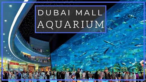 Aquarium Dubai / Dubai mall