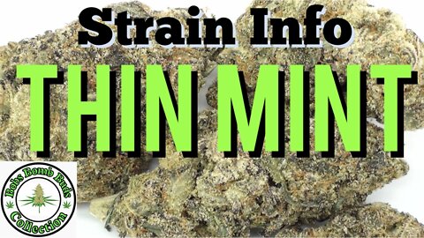 Thin Mint, Cannabis Strain. BC Bud Supply Discount Code.