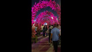 Lusail flower show