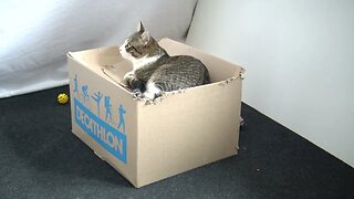 This Is My Box