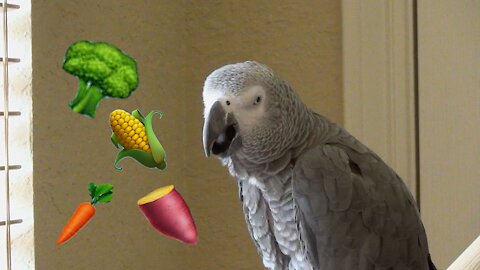 Parrot's sweet talk about his favorite vegetables will make you hungry