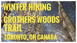 Crothers Woods Trail | Toronto, ON Canada | Hiking