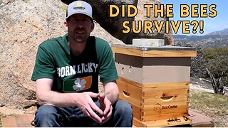 Project Bee Episode 2: First Hive Inspection-Becoming a Beekeeper