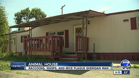 'Fighting' raccoons are nuisance neighbors in Sheridan mobile home park