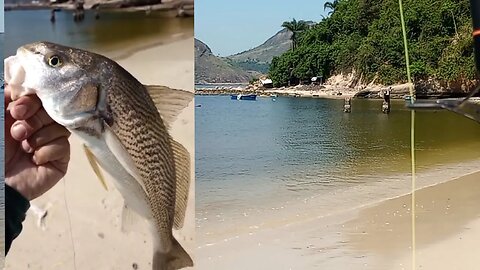 Pescaria beira de praia ,do dia 14 de Setembro 2023 , Niterói, RJ