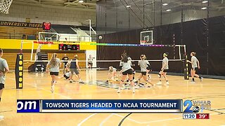 Towson Tigers Women's Volleyball headed to the NCAA Tournament