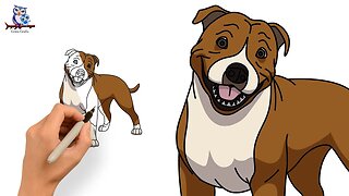 How to Draw a Pitbull - Step by Step