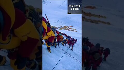 The Line of People to Scale Mount Everest #shorts #everest #mountains #people