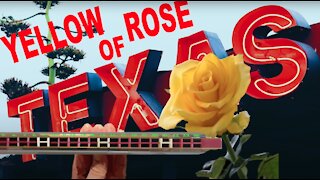 How to Play the Yellow Rose of Texas on a Tremolo Harmonica with 24 Holes