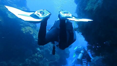 Cozumel Dive 8 Columbia