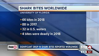 Decline in shark bites worldwide