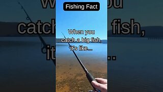 Fishing Facts #shorts #fishing #fishingfanatics