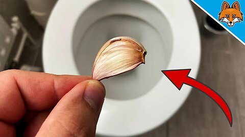 EVERYONE asks me why my Toilet is SO Clean 💥 (THIS is my SECRET) 🤯