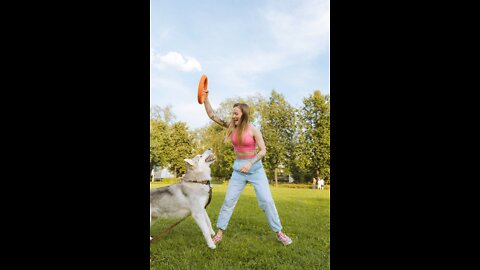 Brain Training For Dogs