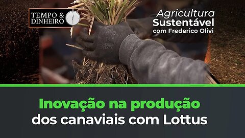 Inovação na produção dos canaviais com Lottus BioSoluções