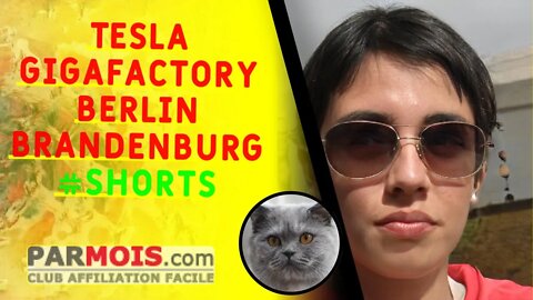 Tesla Gigafactory Berlin Brandenburg #shorts